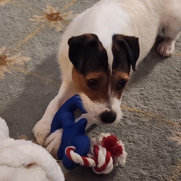 @bethybd LIVE "LIKE" for Notices Of My Shows - Picture 7 of 16